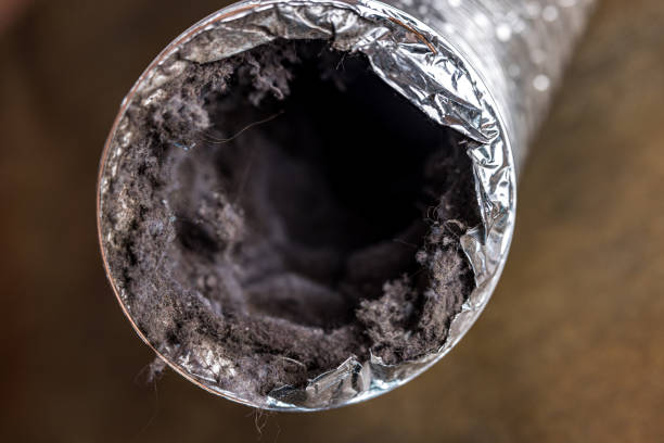 Best Professional Duct Cleaning Services  in USA